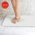 Import New Tide Eco-friendly Anti Slip Diatomite Instant Drying Diatomaceous Earth Bath Mat from China