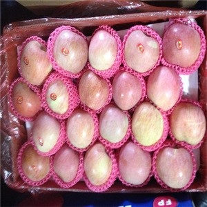 Newcrop Chinese Fresh fruit Red Fuji Apple Export to India