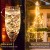 Import Newish 100LED Battery Operated Hanging LED String light Copper Wire  For Christmas Wedding Party decor from China