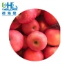 Nice pome fruit 85mm fresh fuji apple for Malaysia wholesaler