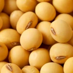 NON GMO Soybean For Sale New Crop..