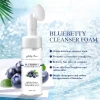 OEM/ODM Amino acid face wash blueberry extract oil control deeply cleansing foam mousse face cleanser private label
