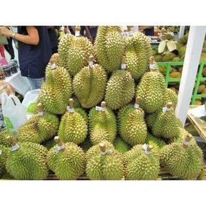 Organic Fresh Durian Fruits/Fresh Durians Fruit/Organic Durian