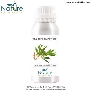 Organic Tea Tree Hydrosol | Melaleuca alternifolia Leaf Hydrolat - 100% Pure and Natural at bulk wholesale prices