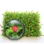 Import Outdoor and Indoor Decorations Artificial Grass Wall /  Plastic Plant Wall from China