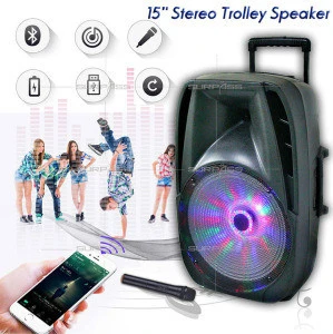 Party Portable 15 inch  Stereo Trolley Active Speaker with Wireless Microphone