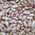 Import Peru Grown Fresh Pinto Beans Dry Robinson Fresh MOQ 50 LBS Quick Delivery from Austria