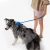 Import Pet hybrid leash harness automatic leash Korea pet leash from South Korea