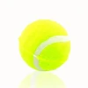 Pet Sport Tennis Balls for Dogs Toy