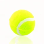 Pet Sport Tennis Balls for Dogs Toy
