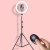 Import Photography selfie light 10inch 26cm LED ring light with tripod stand remote shutter from China