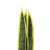 Import Plastic artificial bonsai snake plant/sansevieria/agave artificial ornamental plant for indoor decoration from China