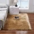 Import Plush Carpet Mat Living Room Rectangle Faux Wool Carpet from China
