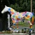 Import Popular Outdoor Decoration Painted Colorful Fiberglass Horse Statue from China