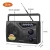 Import Portable FM/AM Sound Complete Weather Bands Receive Home Radio from China