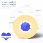 Portable music mini wireless speaker with fm am radio