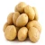 Import Potatoes :  export Holland fresh potato seed/seeds prices for sale from Germany