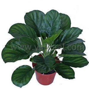 Potted Green decorative artificial plant cheap artificial plants wholesale