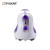 Import Professional Appliance Home Standing Iron Steam Electric Vertical Garment Steamer from China