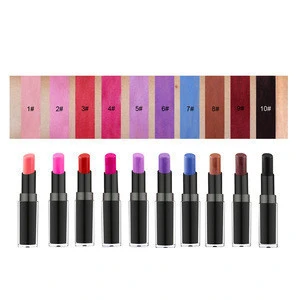 Professional High Quality Pigment Waterproof Cosmetics 10 Colors Lip Gloss Private Label Matte Lipstick