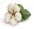 Import pure cotton price importer by manufacturer from Philippines