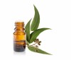 Pure 100% Eucalyptus Essential Oil Therapeutic Grade OEM/ODM Private Label Organic Eucalyptus Oil Bulk Free Samples