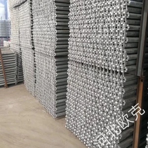 Q235 steel hot dip Galvanized ringlock scaffolding for sale Cagnzhou supplier