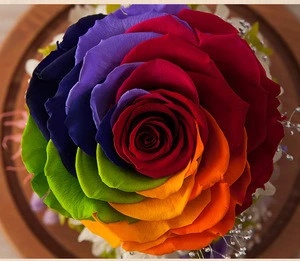 rainbow preserved fresh cut rose flower in glass dome from kunming as wedding arrange