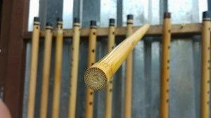 RAW BAMBOO POLES FOR MAKING FLUTE FROM VIETNAM