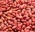 Import Raw Peanuts, pea nut, Roasted, Raw Ground nuts from Uganda
