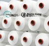 raw white SD DTY 100D/48F NIM high stretch polyester filament yarn with GRS certification