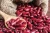 Import Red kidney beans for sale from Uganda