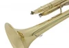 Roffee Musical Brasswind Instrument Gold Lacquer Bb Key Brass Trumpet