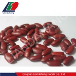 Russia Red Kidney Beans, Red Bean, Types Red Beans