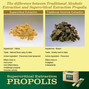 Safety and usefulnessNatural super critical propolis bee propolis powder
