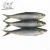 Import Seafood Frozen Whole Round Herring Sardine Fish from China
