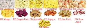Selling 10 Kinds of Vacuum Frozen, Dried Fruit from Thailand