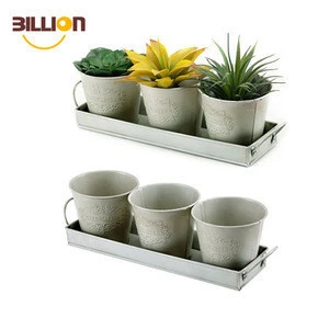 Set Of 3 Succulent Removeable Flower Planter Holder Metal Pot Tray With Emboss