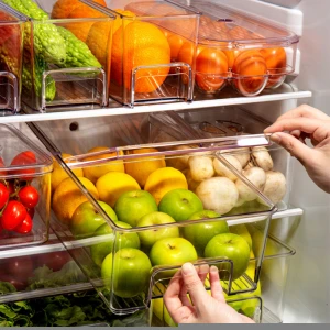 Simple Houseware large  refrigerator storage containers  Freezer Storage Organizer Storage Rack