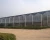 Import Skyplant Automatic Greenhouse 100% Blackout agriculture Glass green house from China