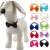 Import Small Pet Accessory Ribbon Dog Bow Tie from China