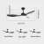 Import smart ceiling fan 48inch with remote control with light 220v ceiling fan with 3 blades light from China