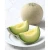 Import Smooth texture homed honeydew organic fresh fruit melon prices from Japan