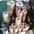 Import Stainless steel wire mesh from China