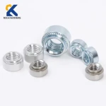 Standard Fasteners Blue Zinc Plated Carbon Steel Swage Nuts Self Clinching Nut Rivet Carbon Steel Nuts