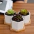 Import Succulent Pots, White Mini Ceramic Flower Planter Pot with Bamboo Tray from China