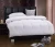 Import Super king size comforter 260gsm feather fabric comforter 233TC from China