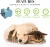 Import Super quiet pet dog water fountain , automatic electric pet drinking bowl pet water dispenser from China