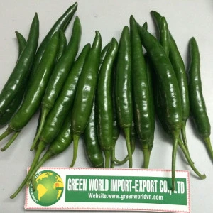 TOP PRODUCT FOR EXPORT: GREEN HOT CHILLI - BEST PRICE