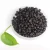 Import TTN Freeze dried fruits Freeze dried blueberries with blueberry prices from China